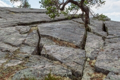 190630-0021